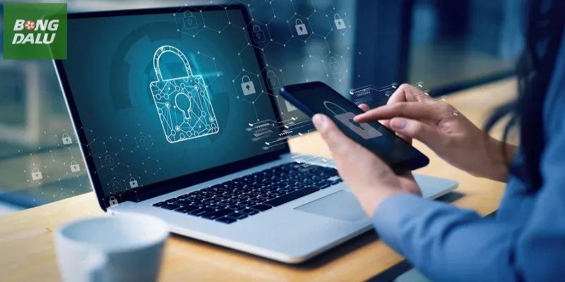 Loại thông tin thu thập trên trang