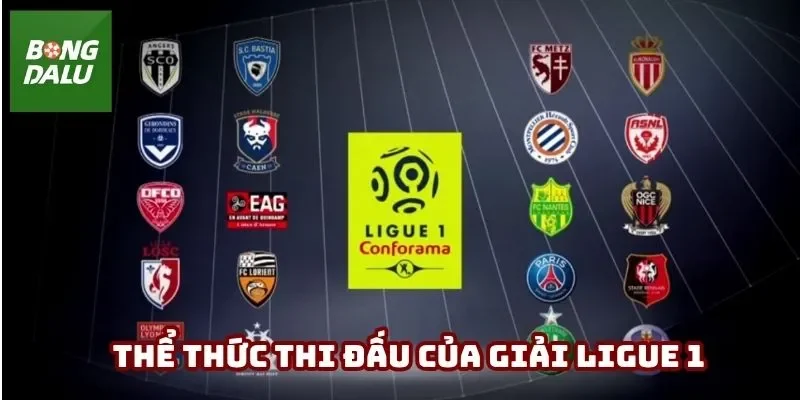 Lưu ngay thể thức thi đấu của sự kiện thể thao Ligue 1
